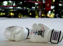 【早見表】ムエタイグローブおすすめ5選【コスパ最強はどれ？】